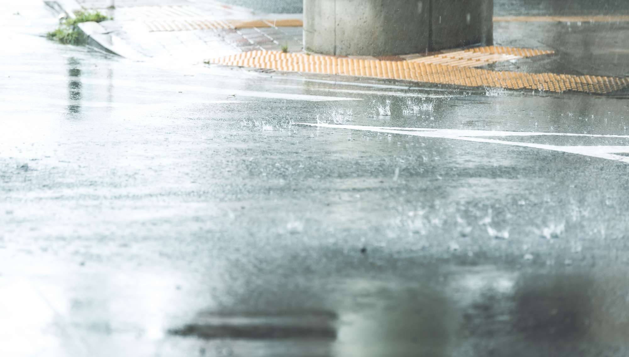 台風　備え