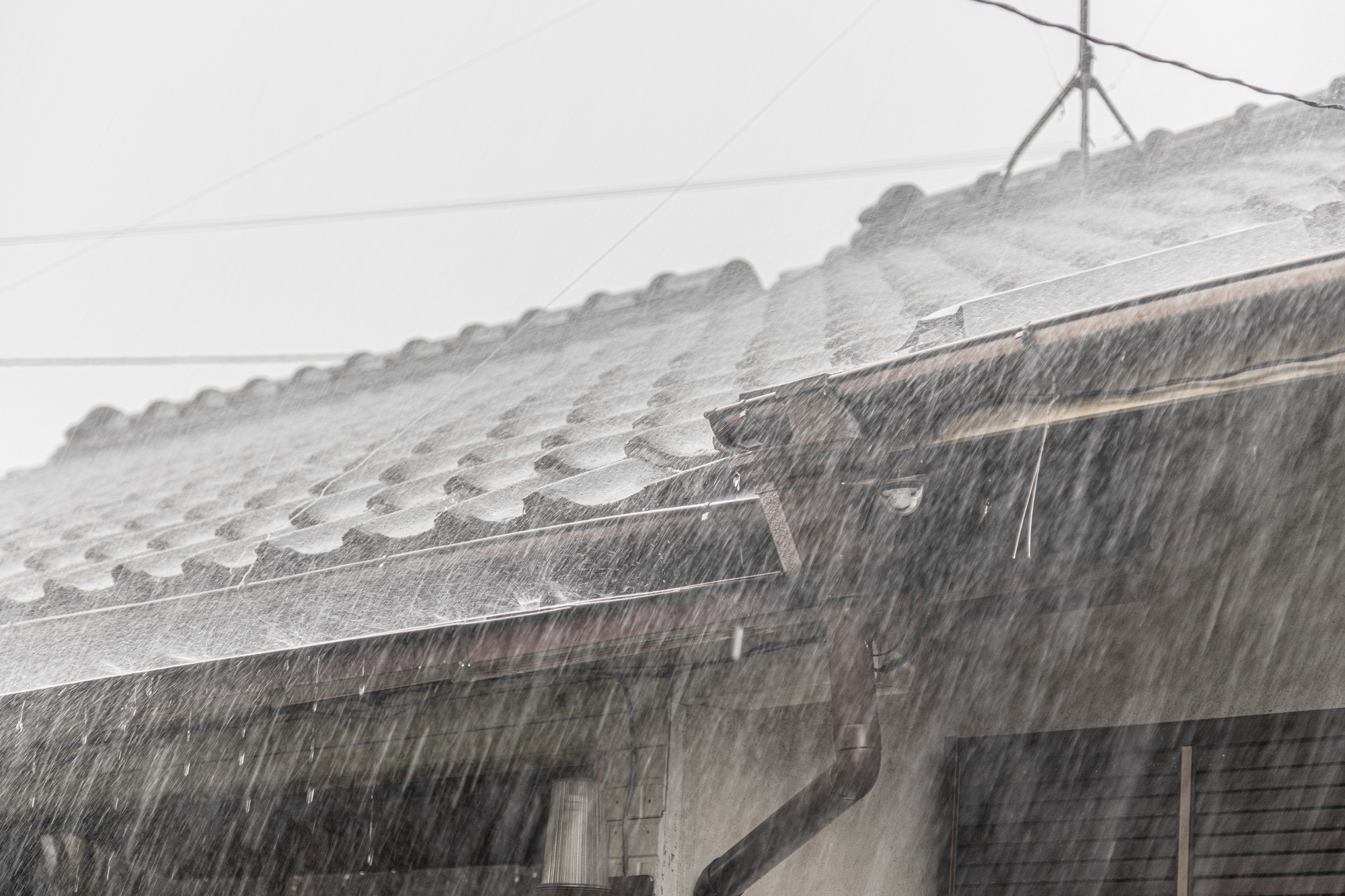 台風　備え