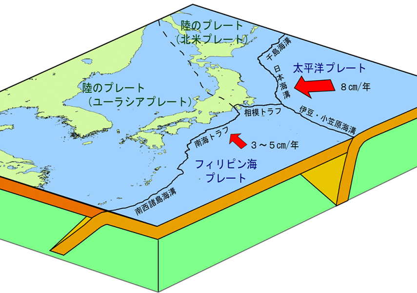 南海 トラフ 生き残る 地域