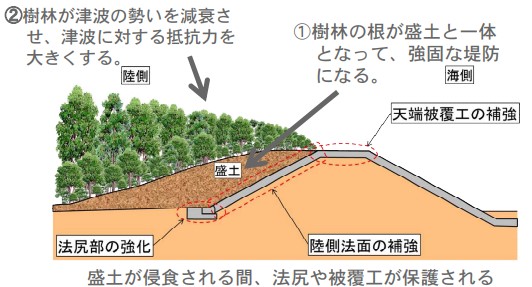 グリーンインフラ