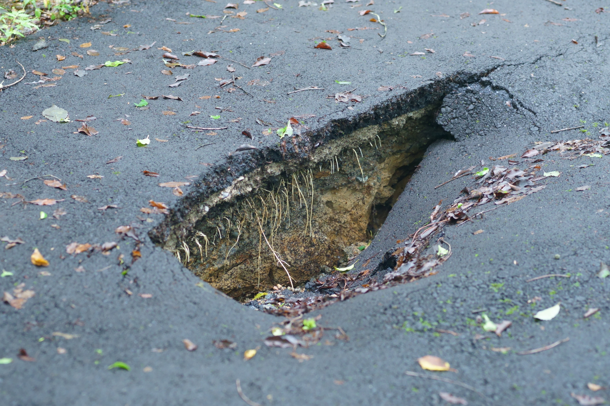 道路 陥没 原因